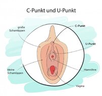 C-Punkt-und-U-Punkt-der-Frau-640x9999.jpg