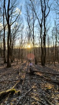 20260301 Waldlauf 1.jpg