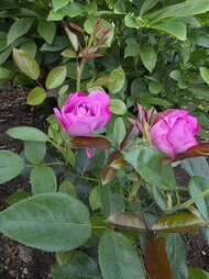 20260701_203311.jpg