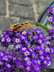 20260713_125836.jpg