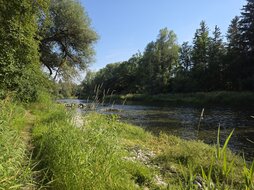 20260627_174509.jpg