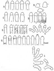 IMG_3248.jpeg IMG_3248.jpeg