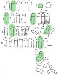 nowIMG_3248.jpg nowIMG_3248.jpg