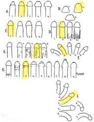 IMG_0842.jpeg IMG_0842.jpeg