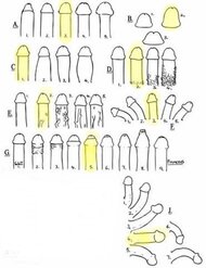 IMG_3248~2.jpeg