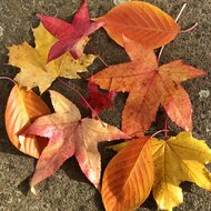 IMG_6896.jpeg