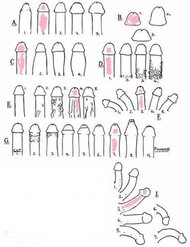 IMG_3248.jpeg