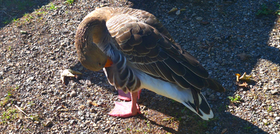 Natur_2026-10-12_B.png