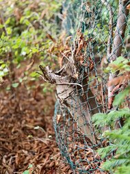 IMG_6586.jpg